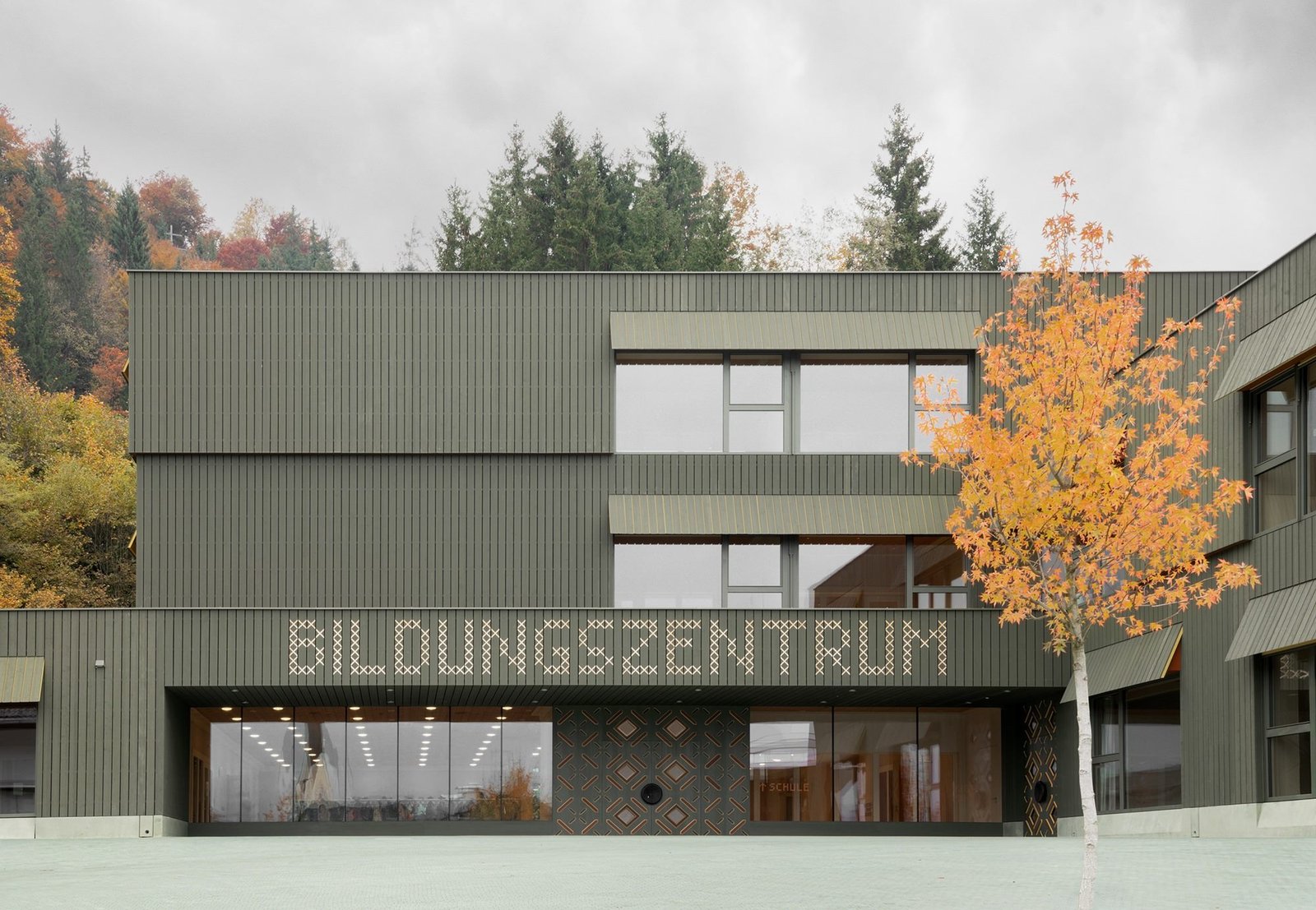 Bildungszentrum Kössen — grün verkleideter Baukörper mit Schriftzug, davor eine Birke in Herbstfärbung